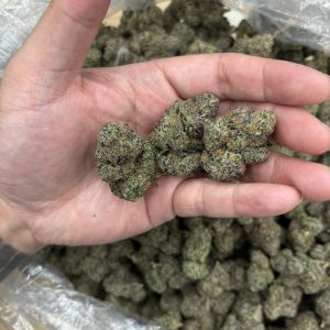 HELL CAT STRAIN