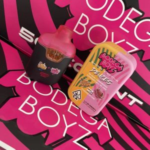 BODEGA BOYZ 2G DISPOSABLE