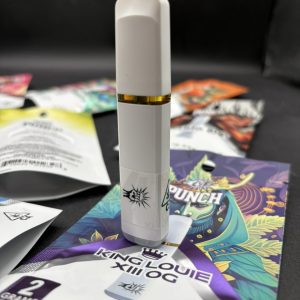 PUNCH 2GRAMS DISPOSABLE VAPE